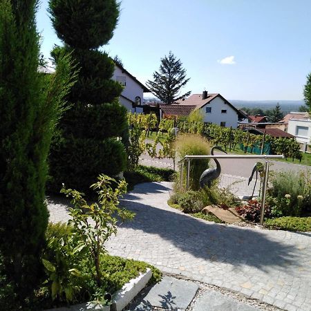 Ferienwohnung Wisser- Fernblick Бад Белинген Екстериор снимка