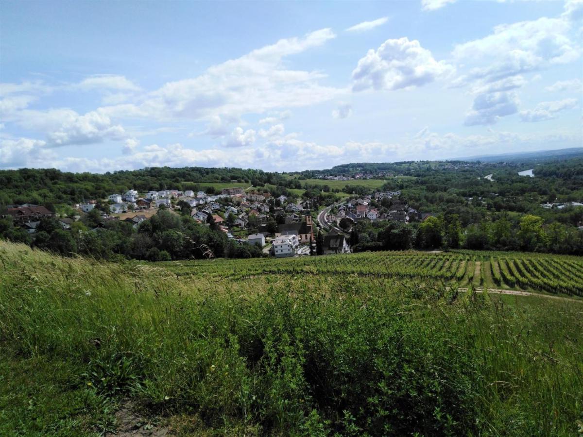Ferienwohnung Wisser- Fernblick Бад Белинген Екстериор снимка